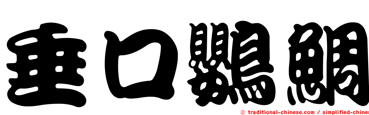 垂口鸚鯛