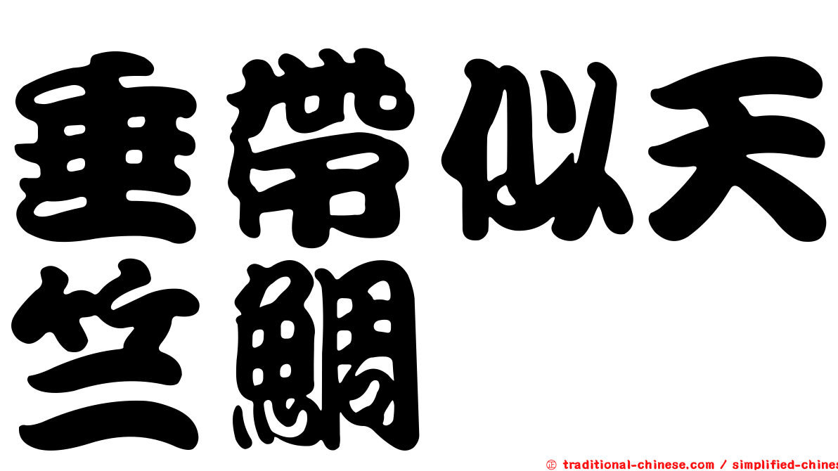 垂帶似天竺鯛