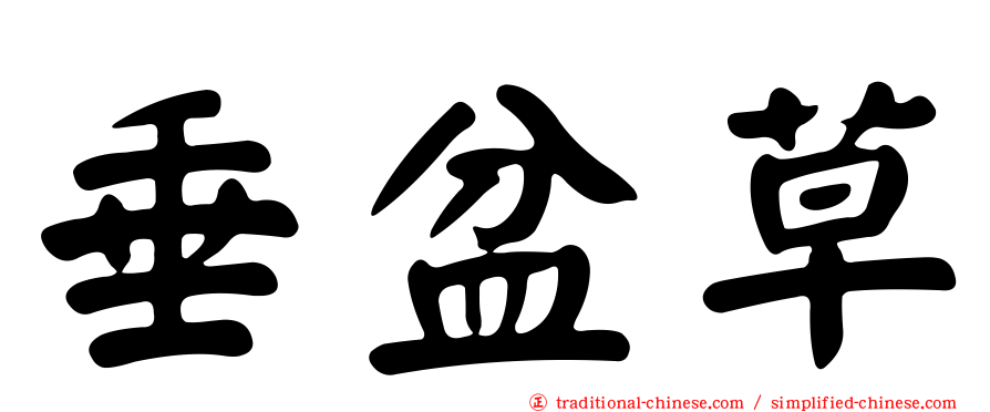 垂盆草