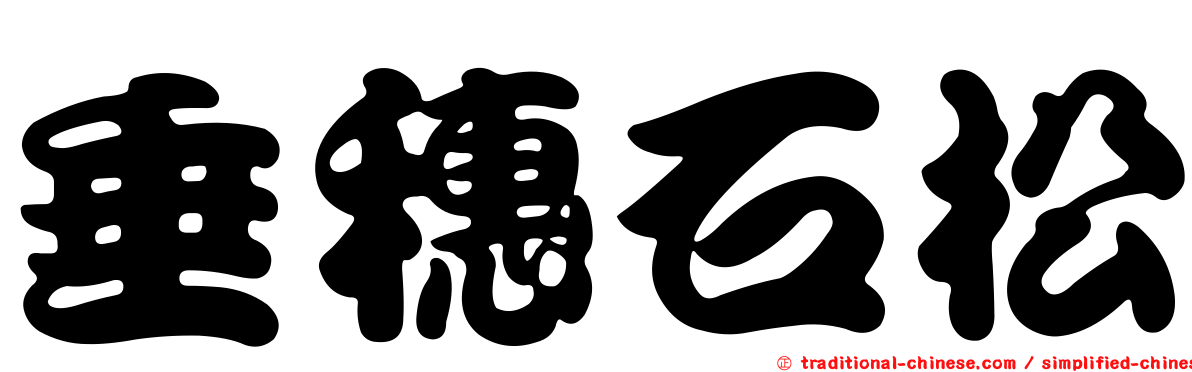 垂穗石松
