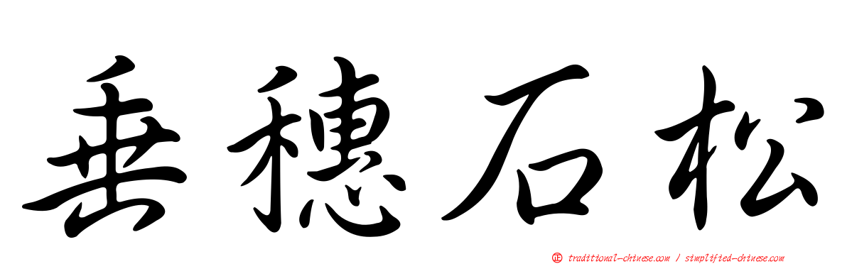 垂穗石松