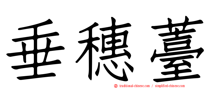垂穗薹