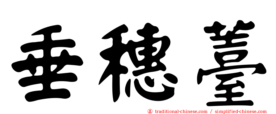 垂穗薹