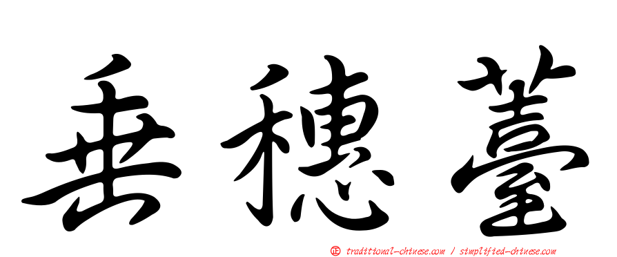 垂穗薹
