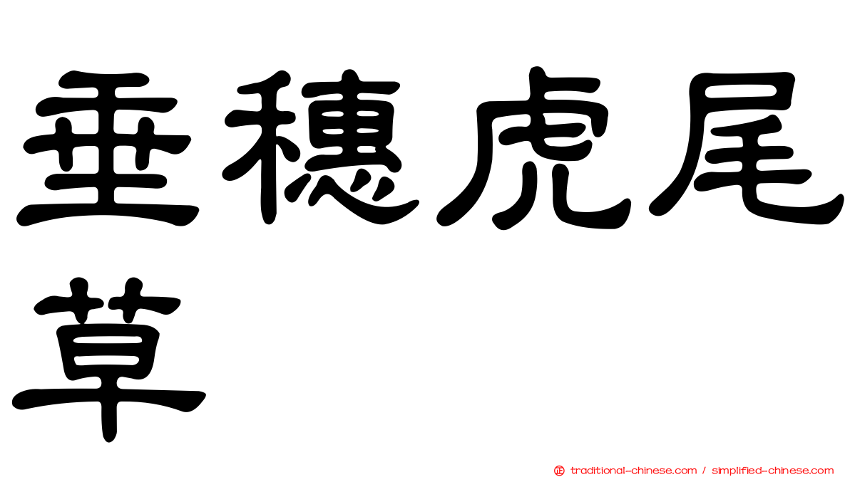 垂穗虎尾草
