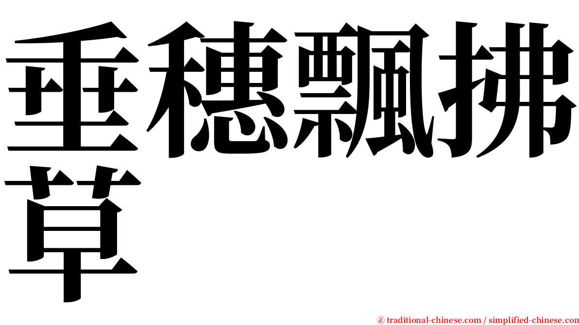 垂穗飄拂草 serif font