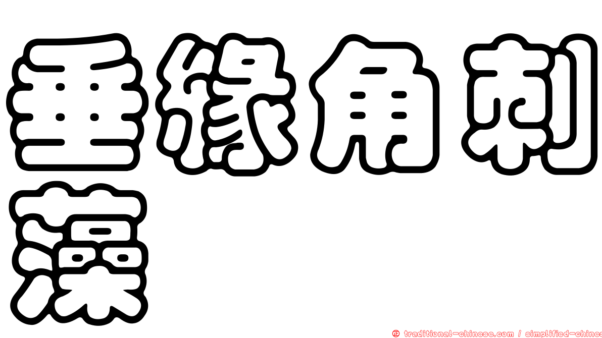 垂緣角刺藻