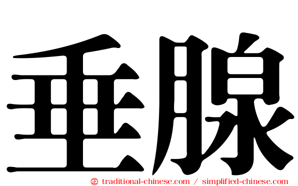 垂腺