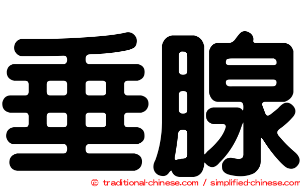 垂腺