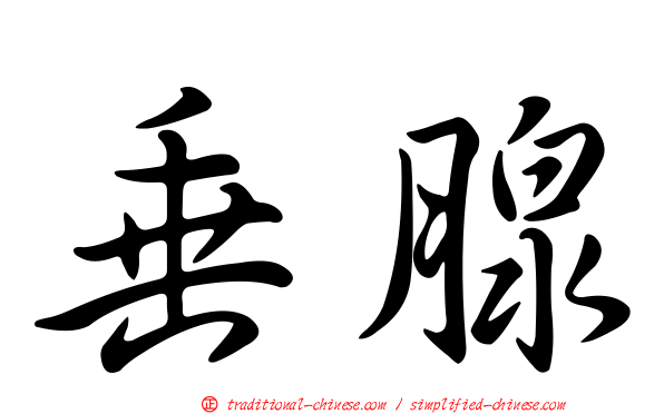 垂腺