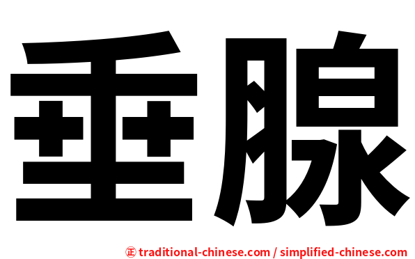 垂腺