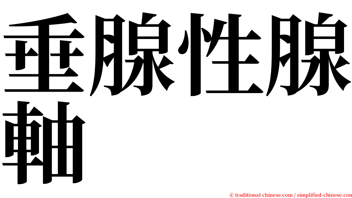 垂腺性腺軸 serif font
