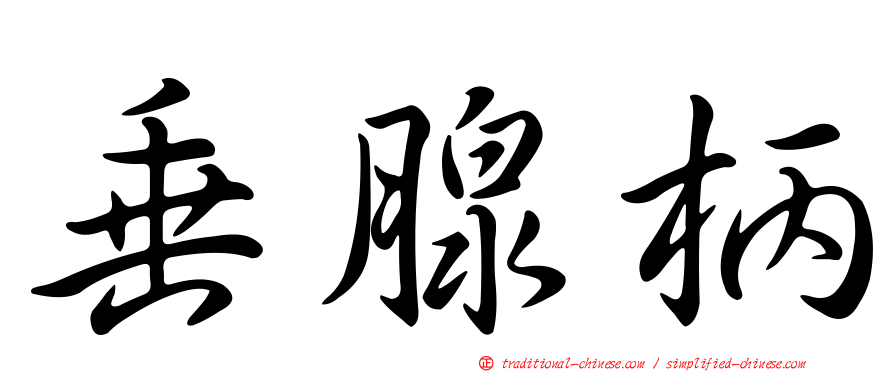 垂腺柄