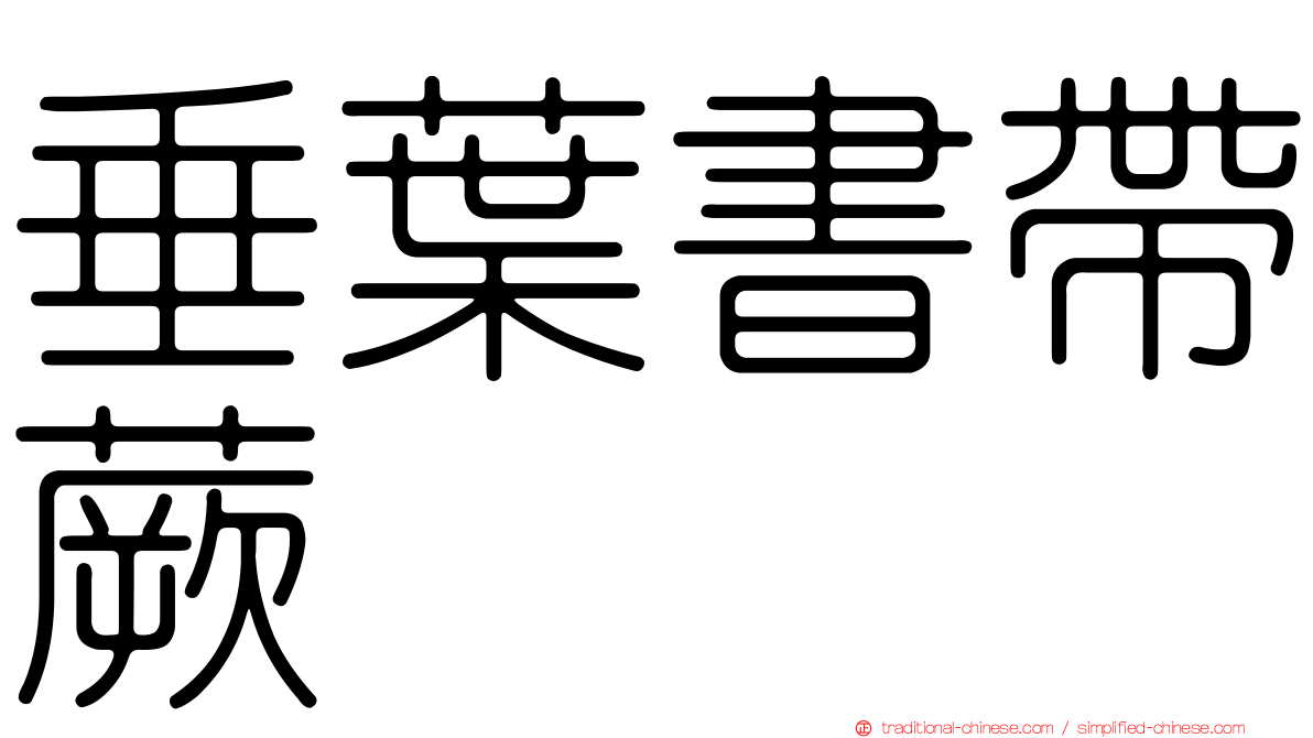 垂葉書帶蕨