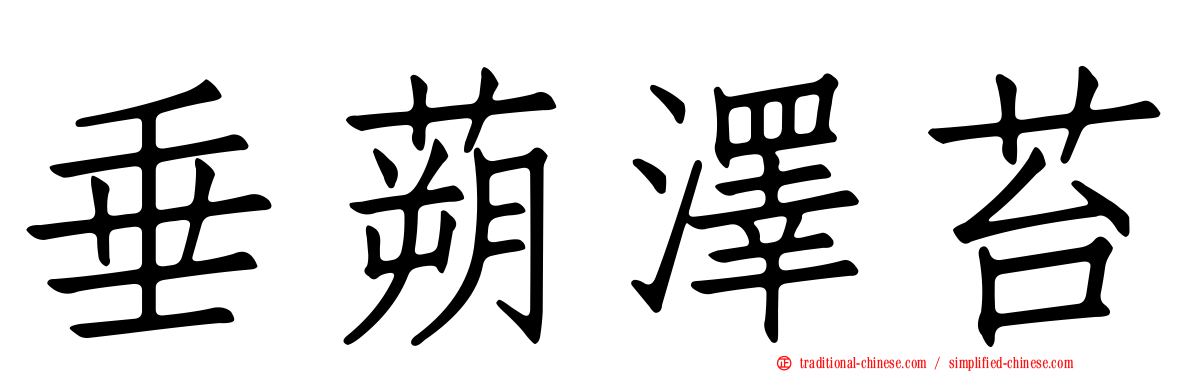 垂蒴澤苔