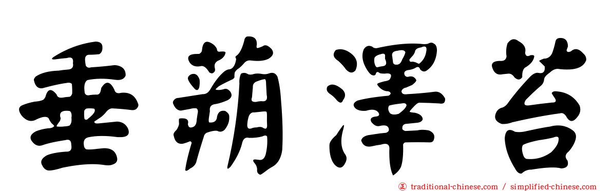 垂蒴澤苔