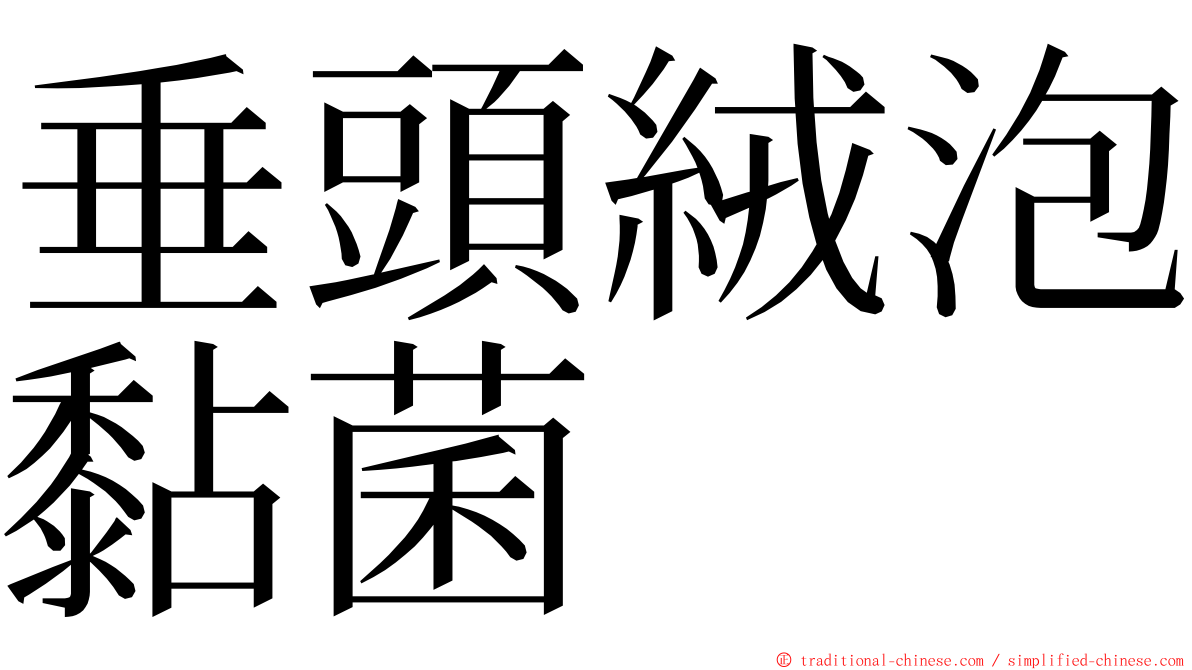 垂頭絨泡黏菌 ming font