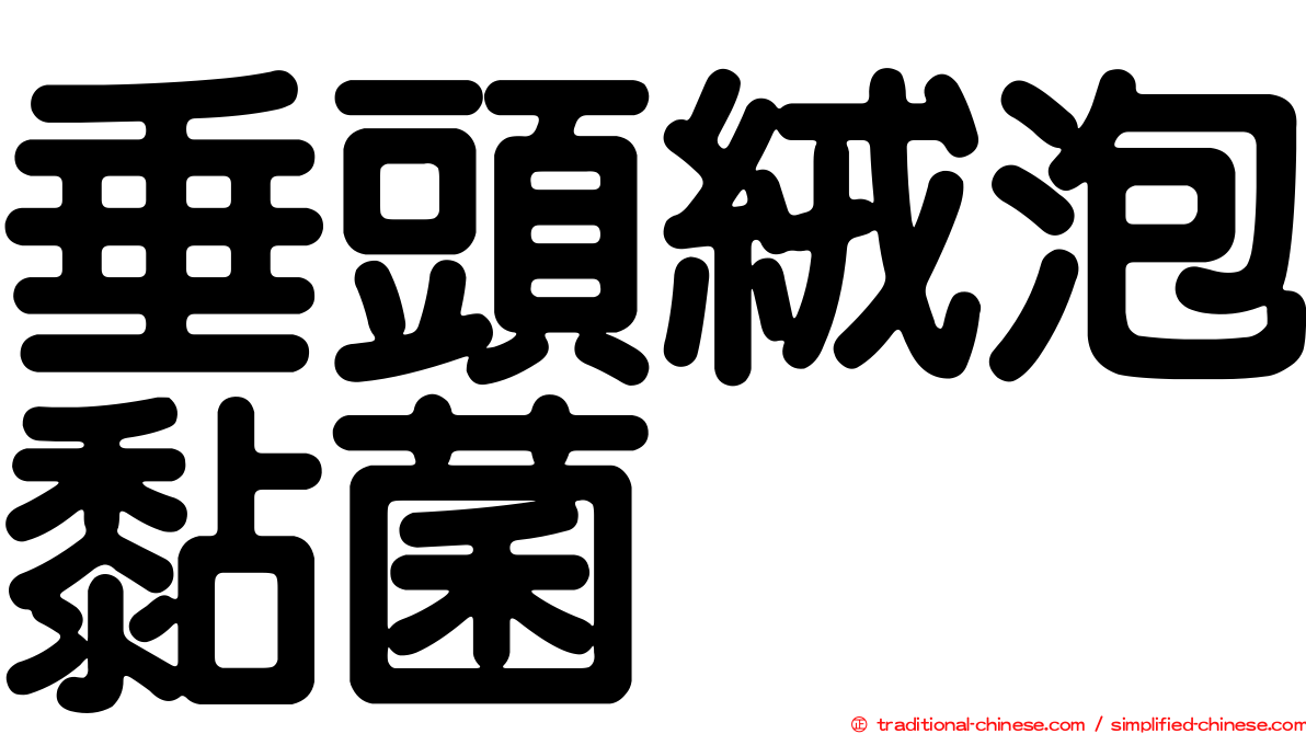 垂頭絨泡黏菌