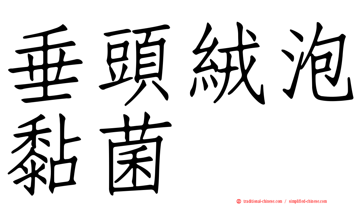 垂頭絨泡黏菌