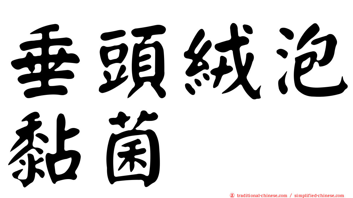 垂頭絨泡黏菌