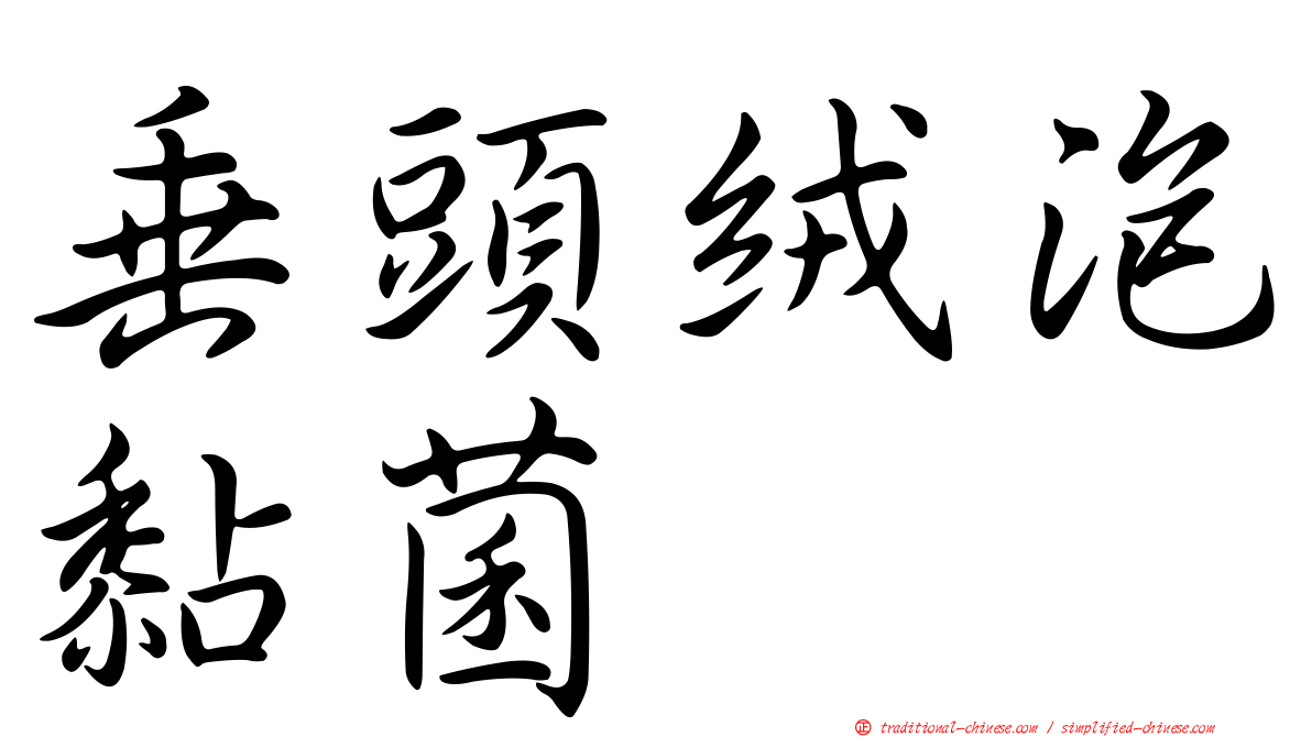 垂頭絨泡黏菌
