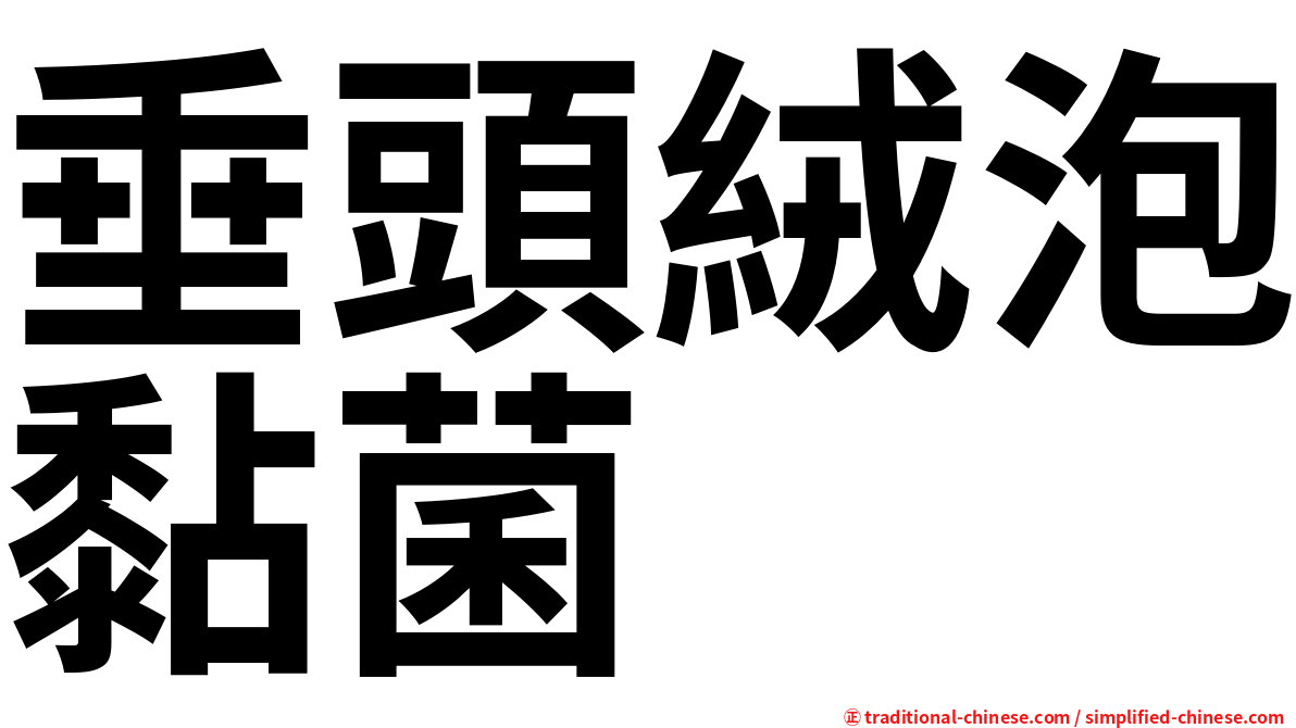 垂頭絨泡黏菌