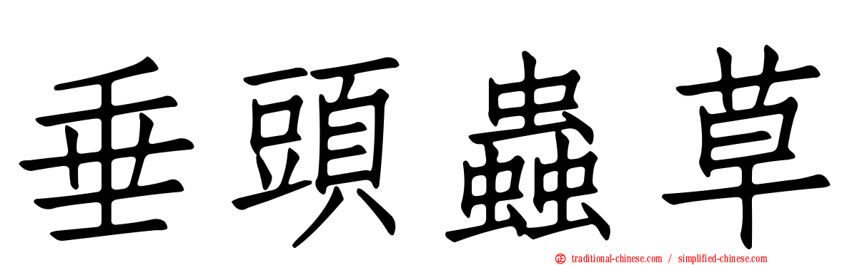 垂頭蟲草