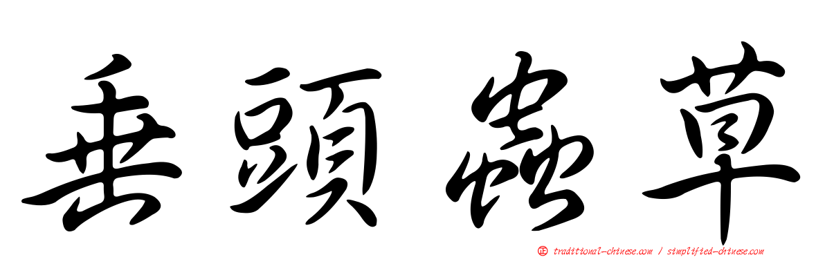 垂頭蟲草
