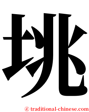 垗 serif font