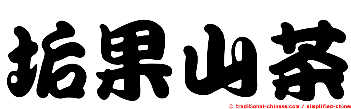 垢果山茶