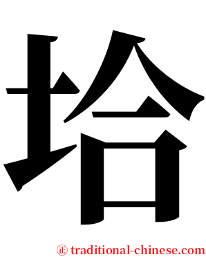 垥 serif font