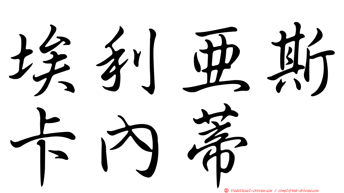 埃利亞斯卡內蒂