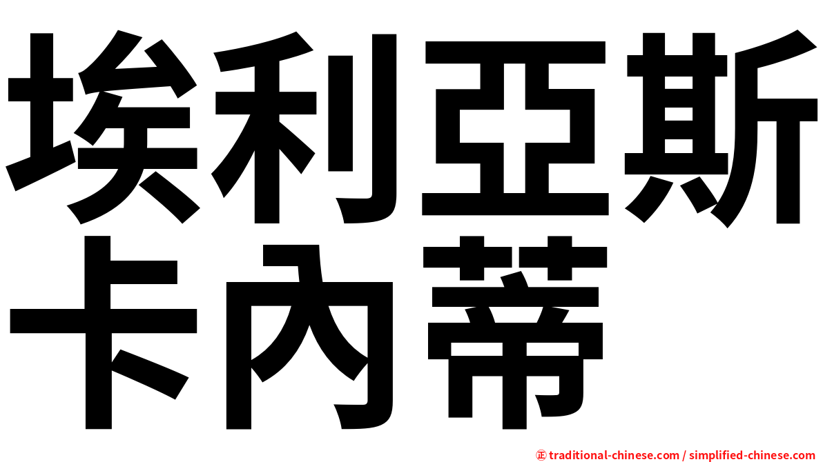 埃利亞斯卡內蒂