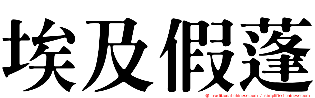 埃及假蓬