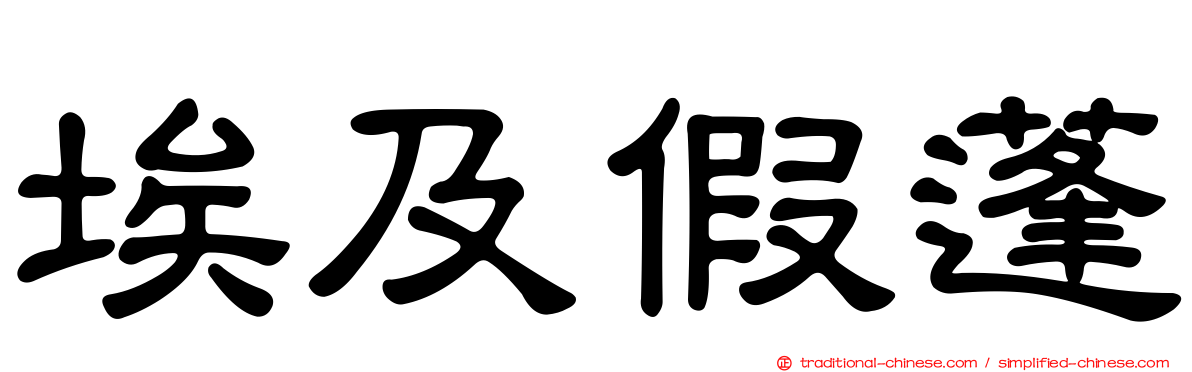 埃及假蓬