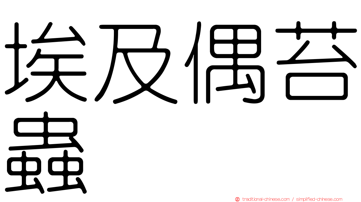 埃及偶苔蟲
