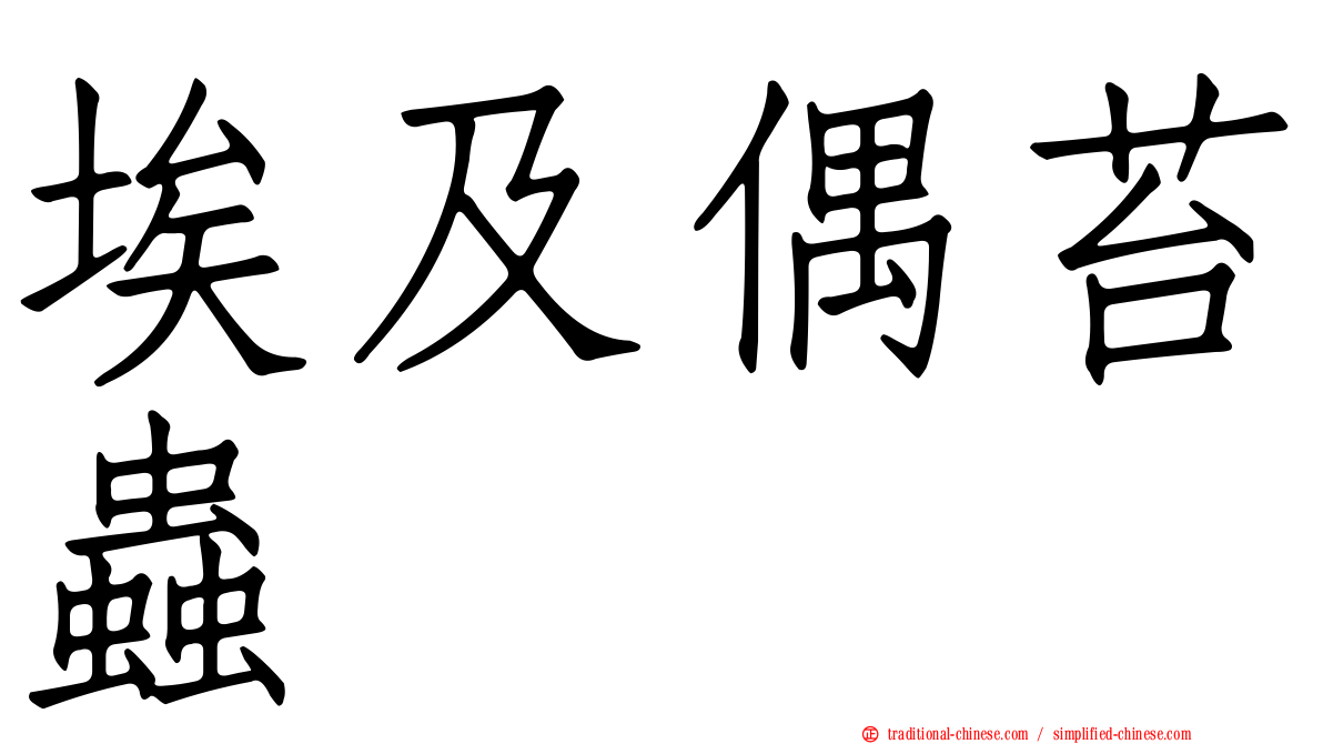 埃及偶苔蟲