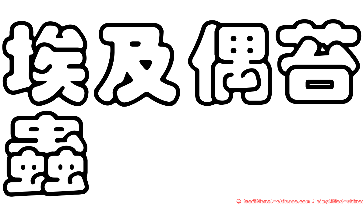 埃及偶苔蟲