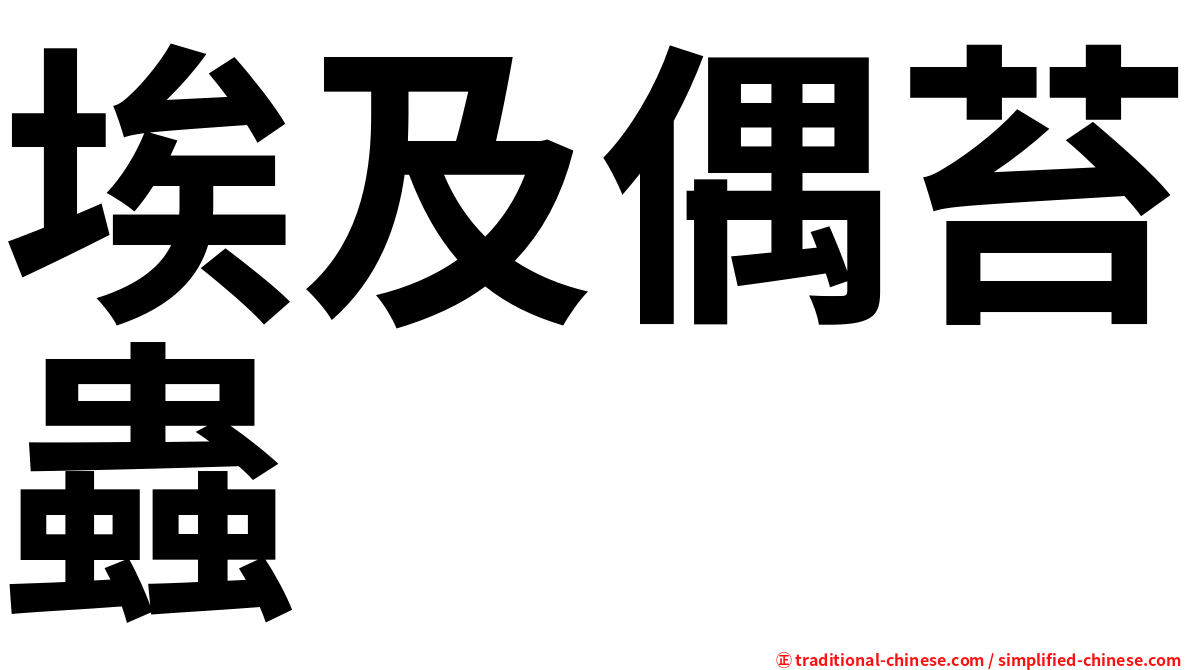 埃及偶苔蟲