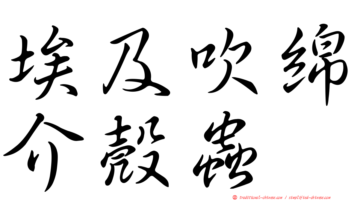 埃及吹綿介殼蟲