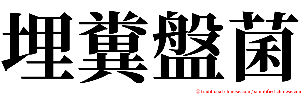 埋糞盤菌 serif font