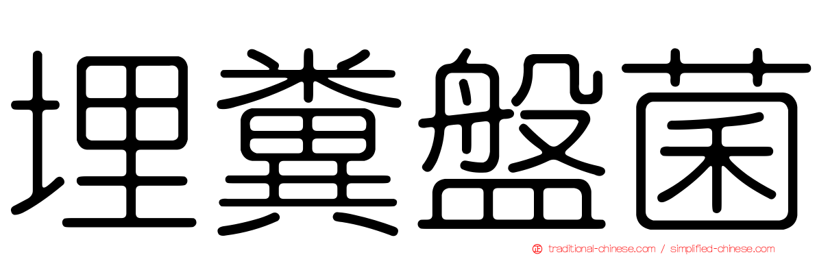 埋糞盤菌