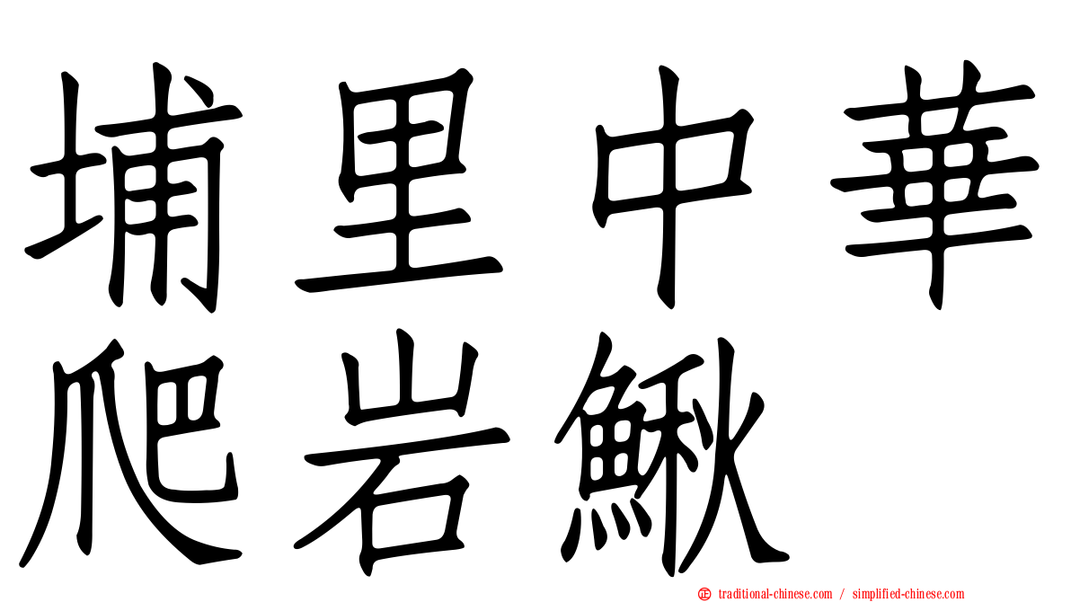埔里中華爬岩鰍