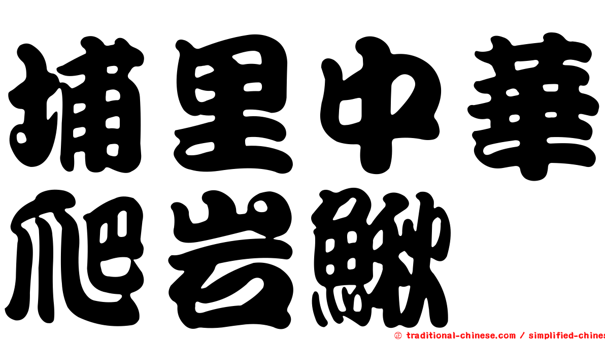 埔里中華爬岩鰍