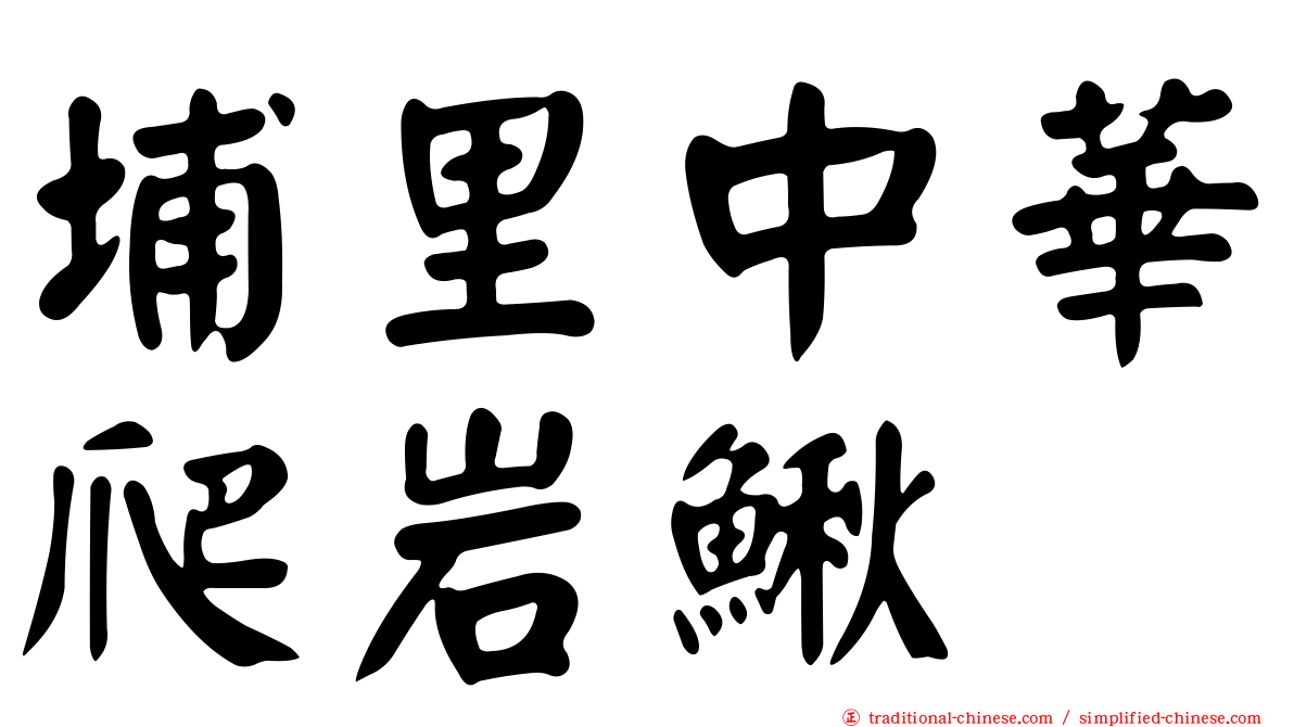 埔里中華爬岩鰍