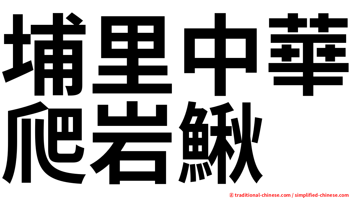 埔里中華爬岩鰍