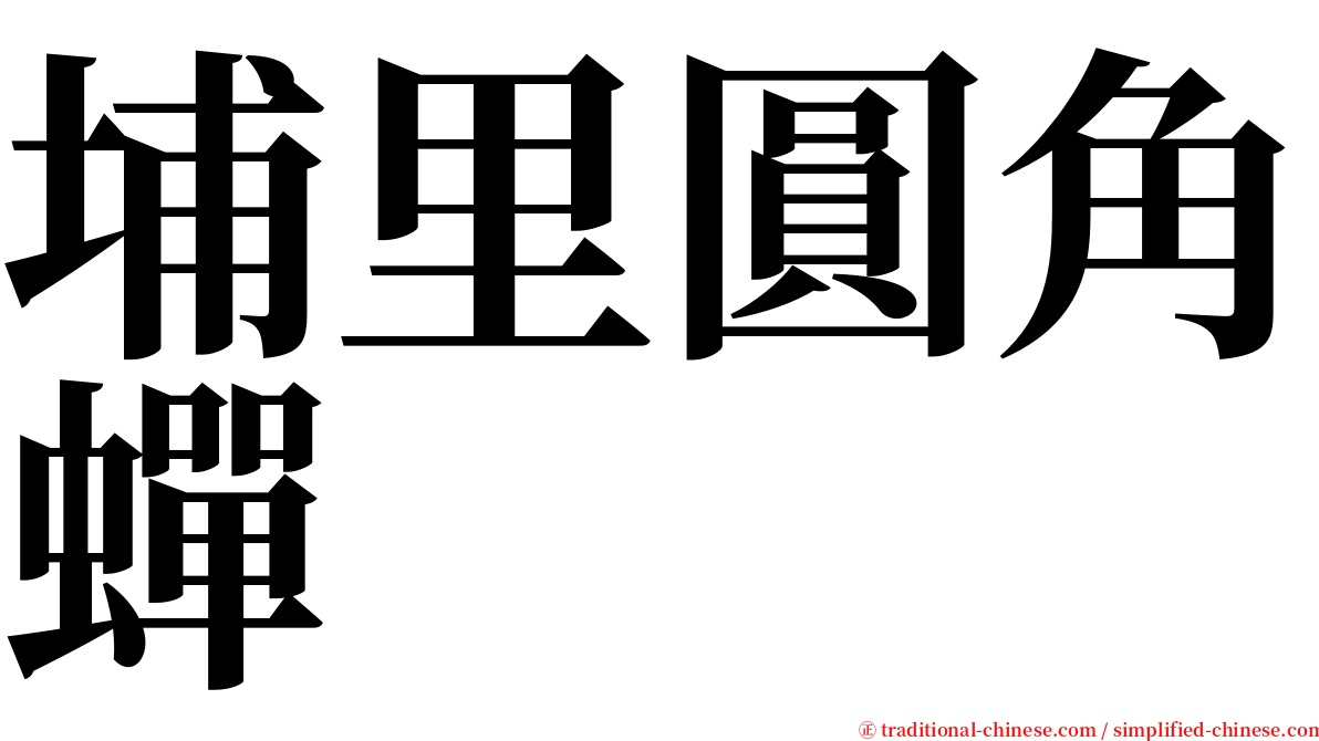 埔里圓角蟬 serif font