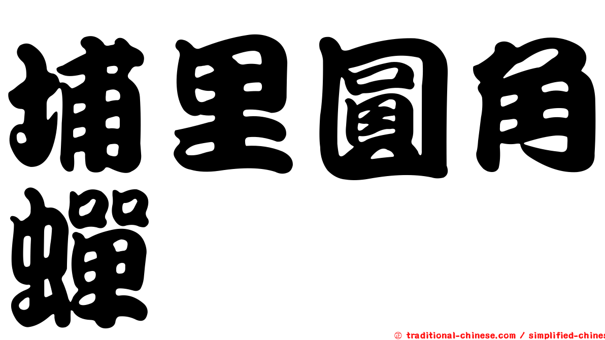 埔里圓角蟬