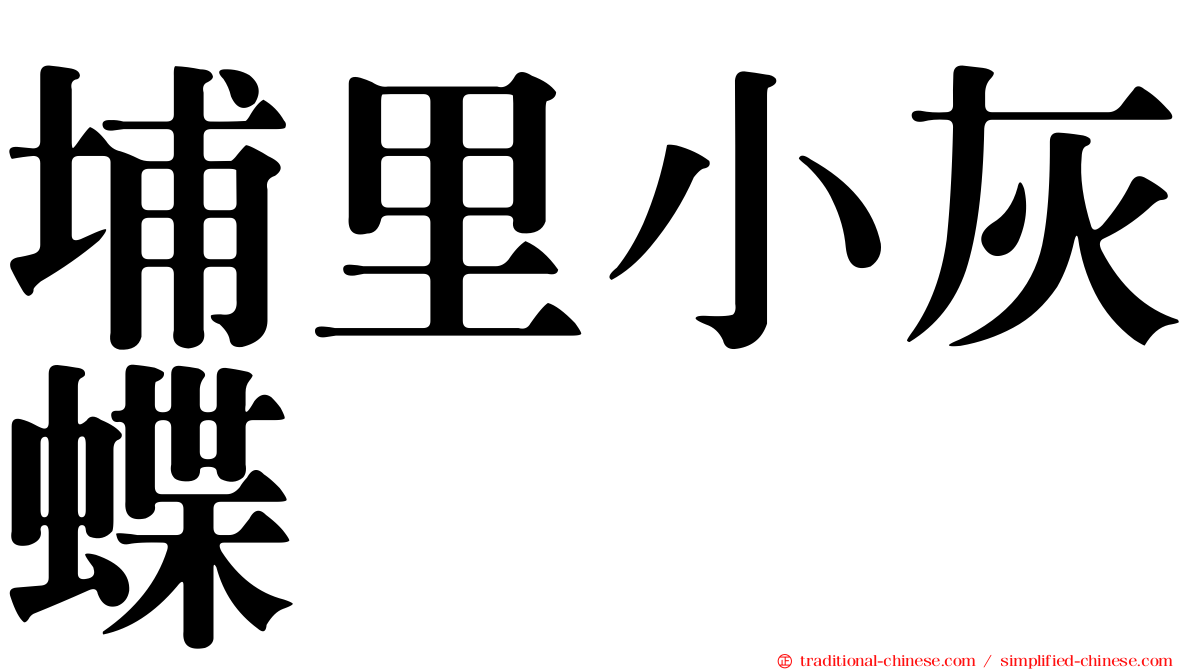 埔里小灰蝶