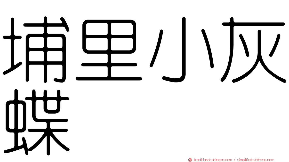 埔里小灰蝶